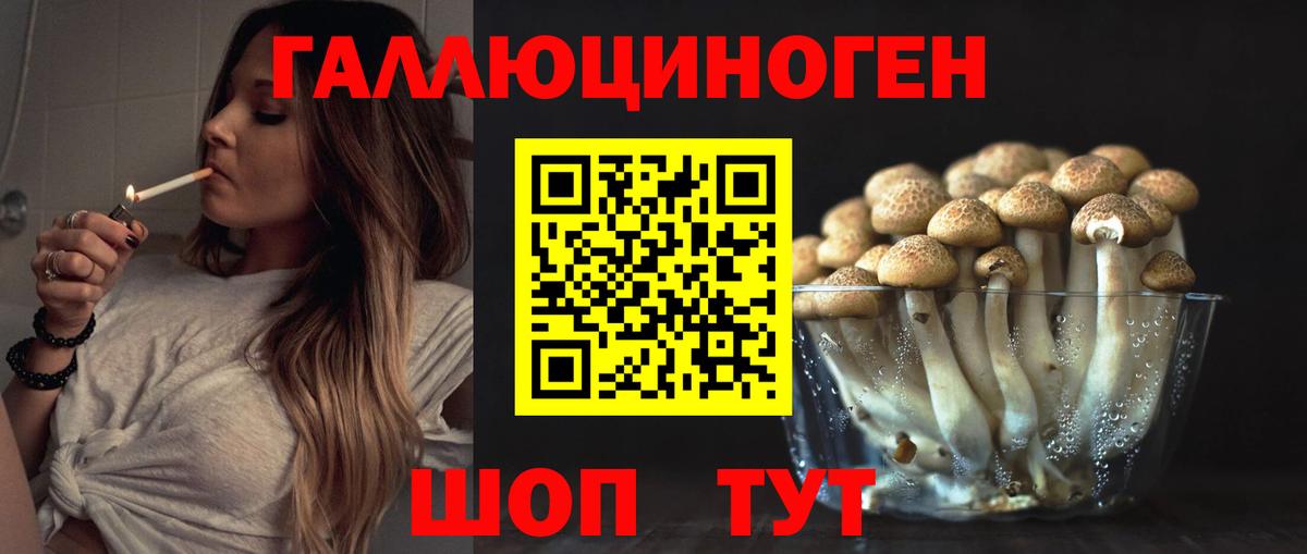 Обнинск  Галлюциногенные грибы мухоморы  Псилоцибиновые грибы Magic Shrooms  как найти   Вход с VPN 